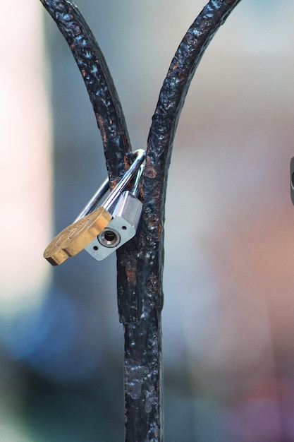 Love padlocks stuck in iron railings