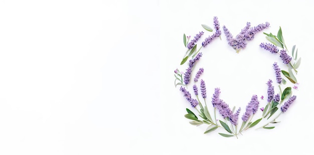 Love's Symphony in Lavender Flowers White Background Generative AI