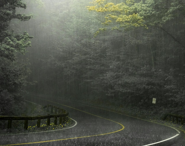 Photo love the smell of the fresh rain from the road its a smell that reminds me of childhood