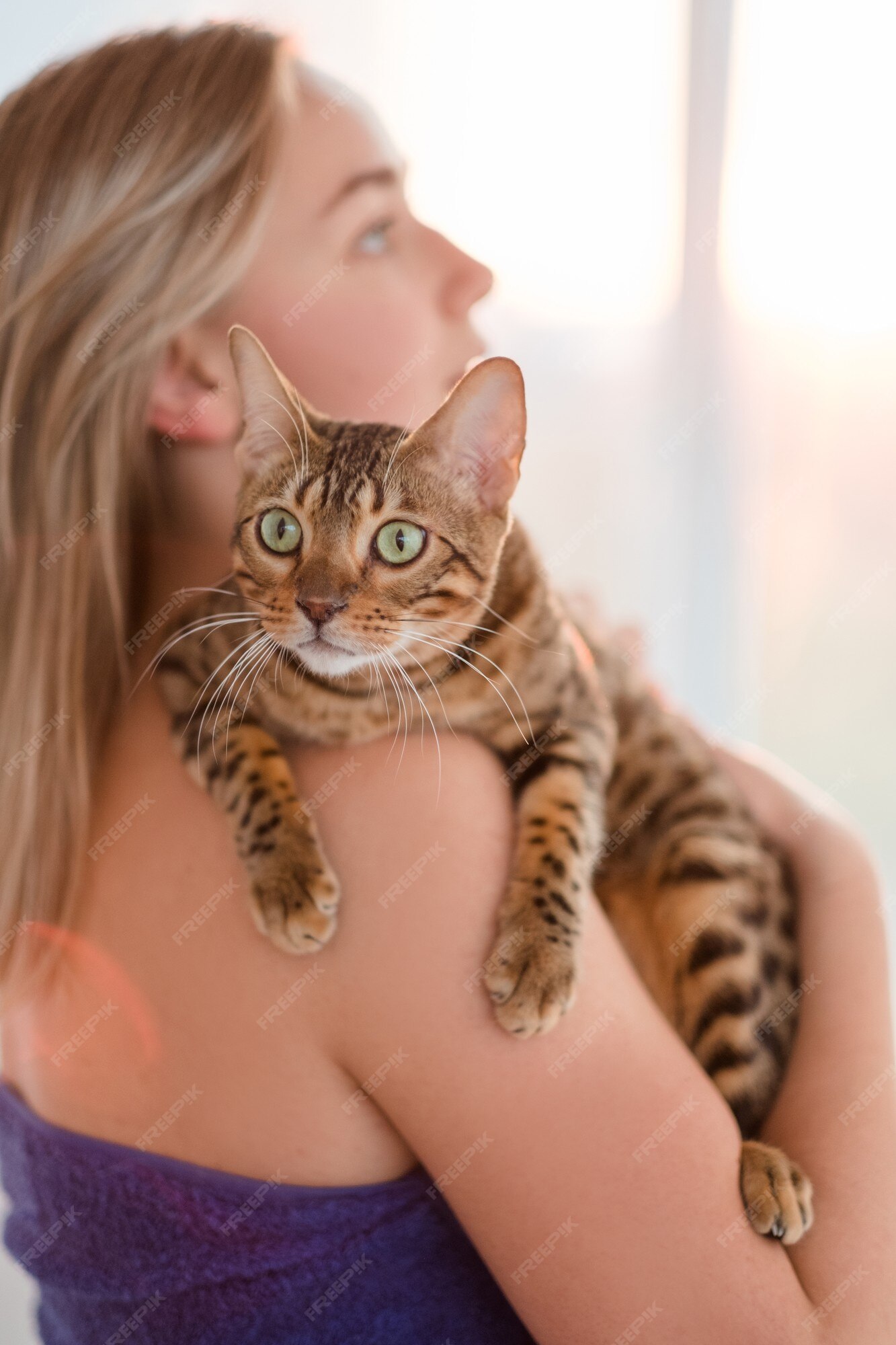 Premium Photo | Love tenderness care protection. human and animal bond. cat pets. cuddle time Premium Photo | Love tenderness care protection. human and animal bond. cat pets. cuddle time