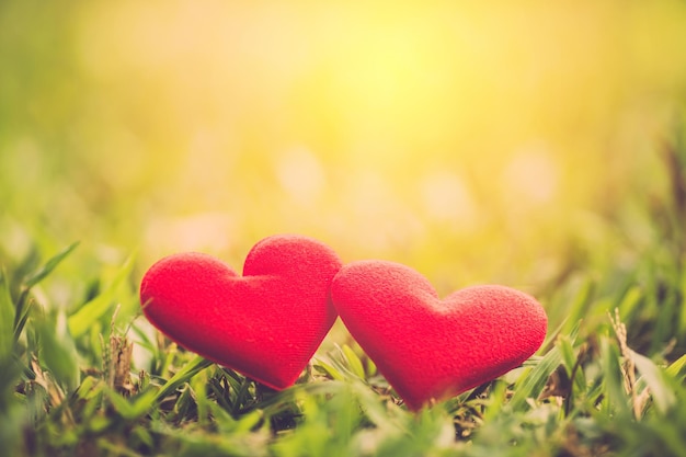 Love valentine heart on green grass in yard close up