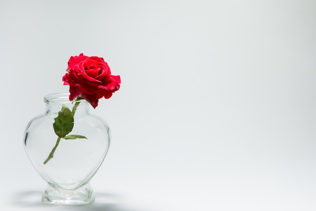 love Valentine's Day Background of red roses in heart-shaped bottle