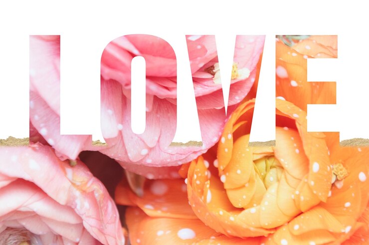 Photo love word png border sticker flower on torn paper transparent background