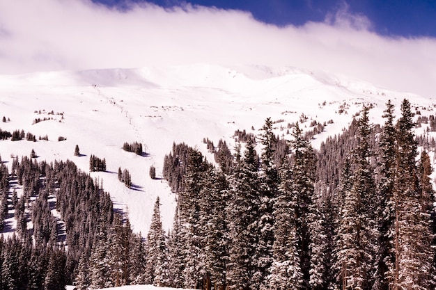 Loveland basin ski area in the Winter.