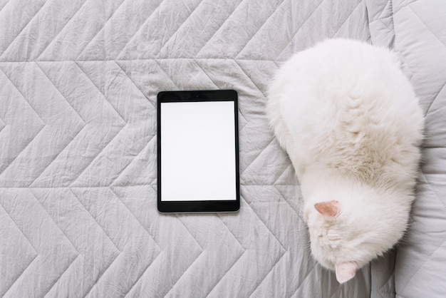 Photo lovely cat composition with technological device