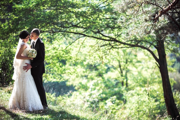 Lovely couple kissing in a wonderful pine forest