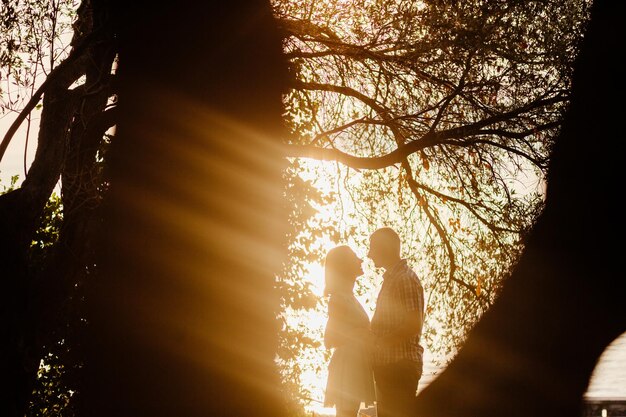 Lovely couple relax in park together with sunlight silhouette