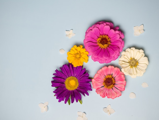 Lovely flowers on a blue background. Holiday postcard