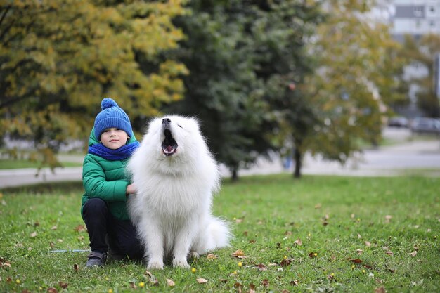 Lovely girl on a walk with a beautiful dog