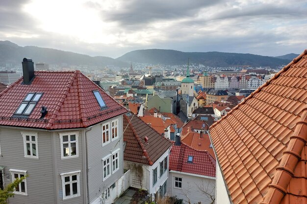 Lovely houses with a tiled roof against the backdrop of mountains and fog in Norway