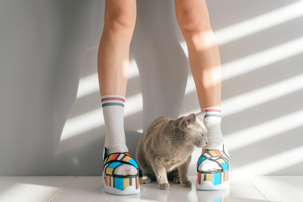 Lovely kitten sitting among female legs in fashionable shoes