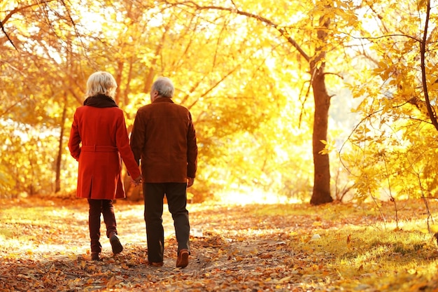 Lovely mature couple in autumn park