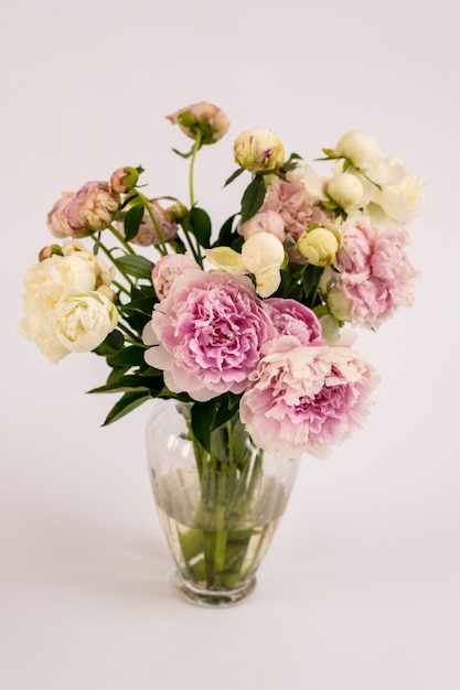 Lovely peonies flowers in glass vase isolated