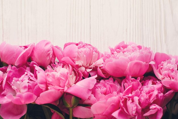 Lovely pink peonies on rustic white wooden background space for text floral greeting card flat lay beautiful peony flowers tender image happy mothers or women day concept