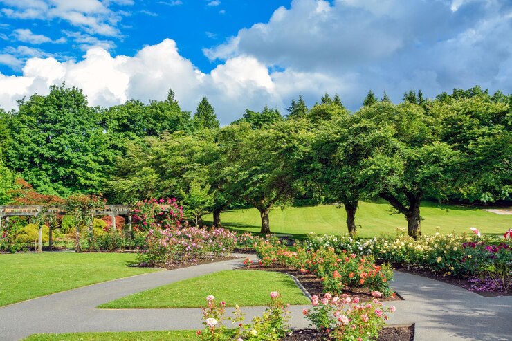 Lovely public rose garden in vancouver british columbia