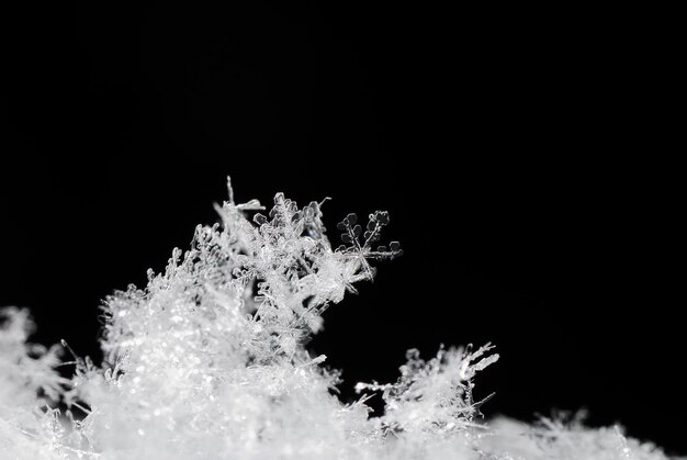 Foto bellissimi cristalli di neve su un nero