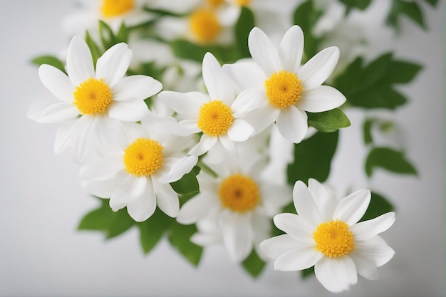 人工知能によって生成されたネガティブスペースで白い背景の素敵な春の花と葉