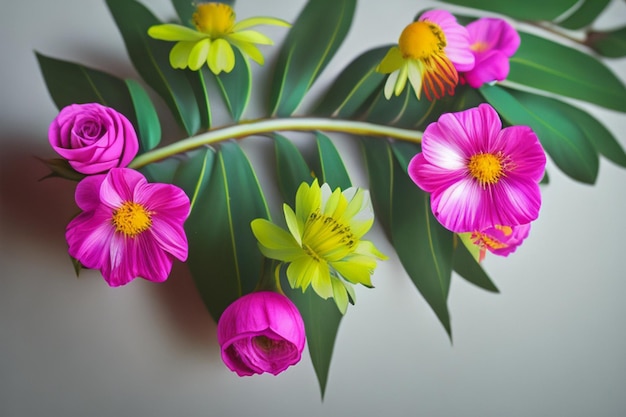 Lovely spring flowers and leaves on white background with negative space