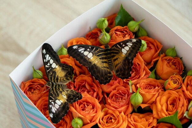 Lovely tropical butterflies in a box of roses orange roses and butterflies unusual and stylish bouque