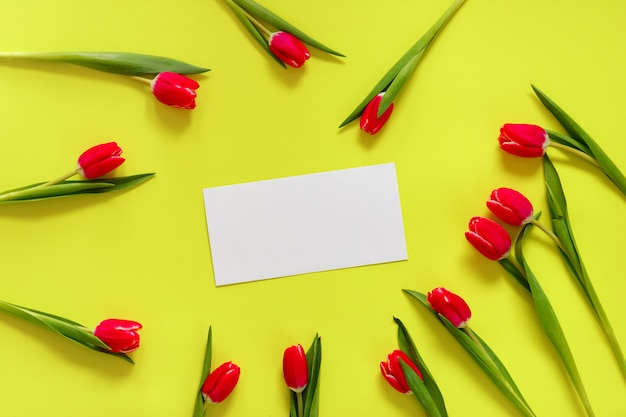 Lovely tulip flowers composition with blank paper