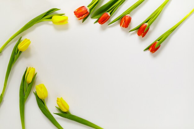 Bella composizione di fiori di tulipano