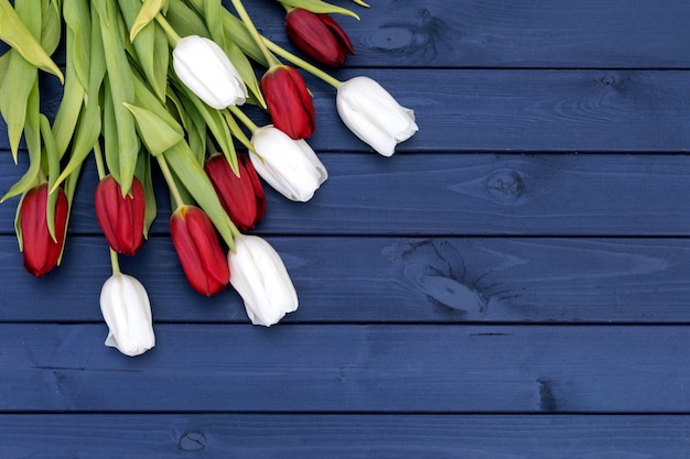 Lovely tulip flowers on wooden backdrop