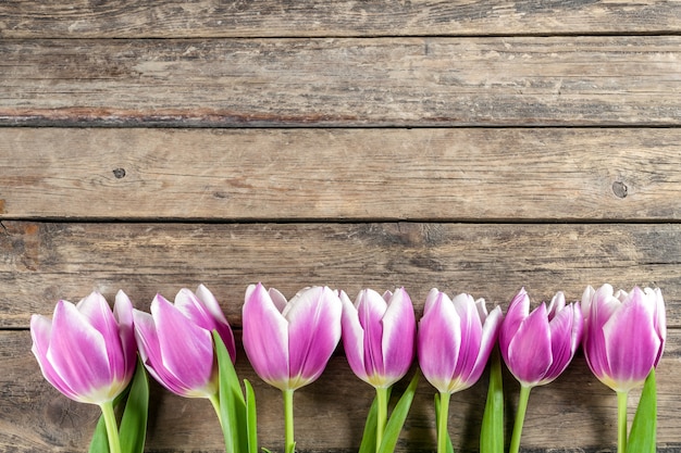Fiori adorabili del tulipano sul bordo di legno