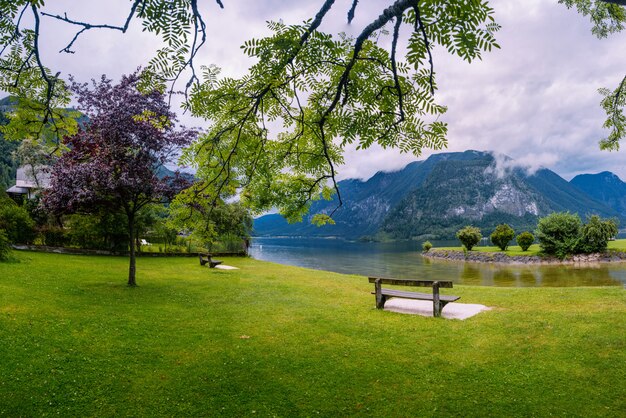 Lovely walkway along the shore