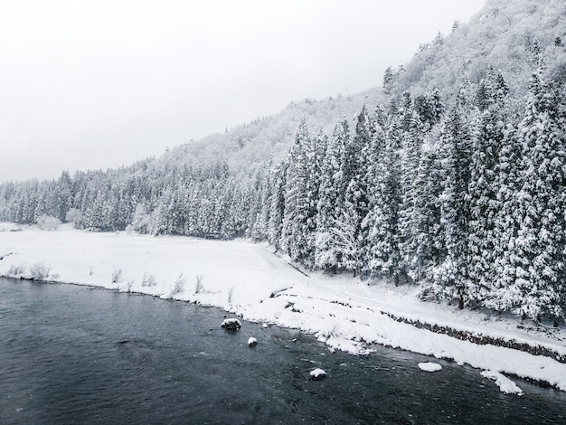 Lovely winter scenery with Fir trees covered with snow 