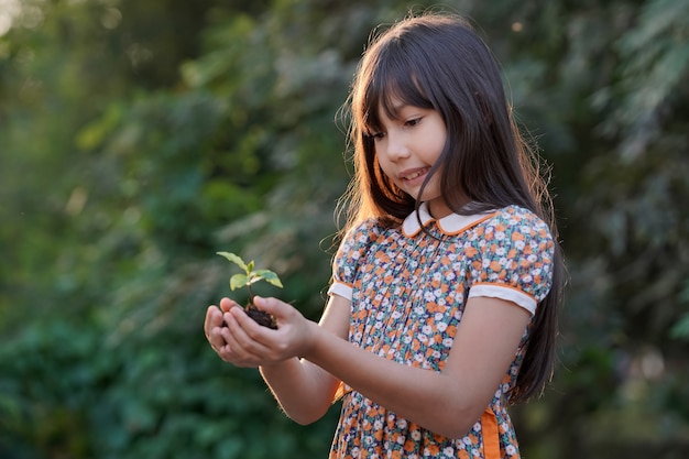 Lovely young girl with a sprout and the light golden morning sunshine.