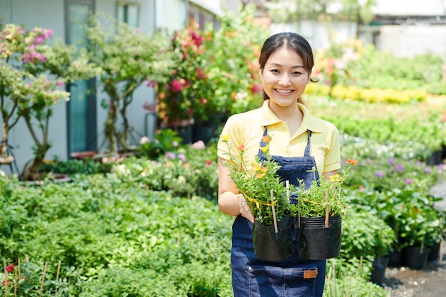 温室で働く素敵な若い女性、彼女は花が咲く2つのポットを見せています