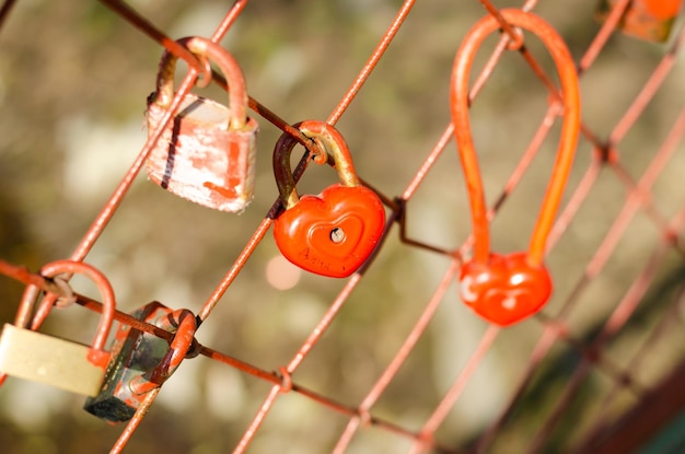 Lovers' castles on an iron fence.