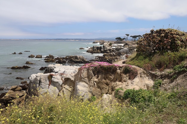 Foto punto degli amanti a monterey california