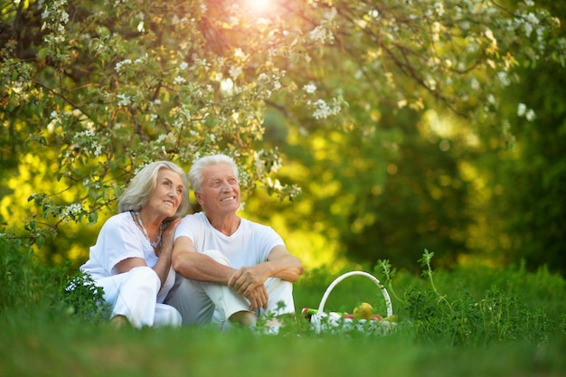 Loving elderly couple having a picnic