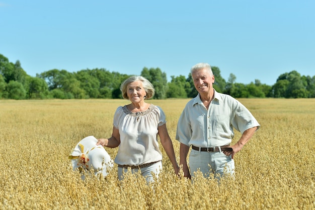 Loving mature couple in field  at summer