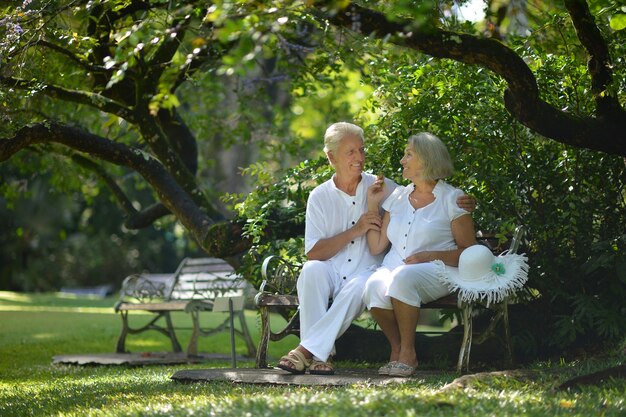 Loving mature couple sitting on bench  in summer park