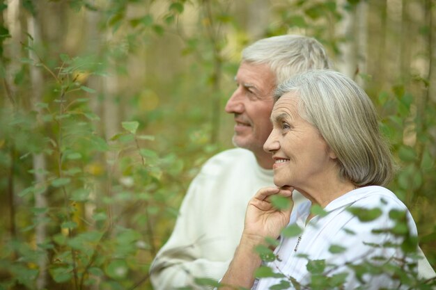 Loving mature couple in a summer park