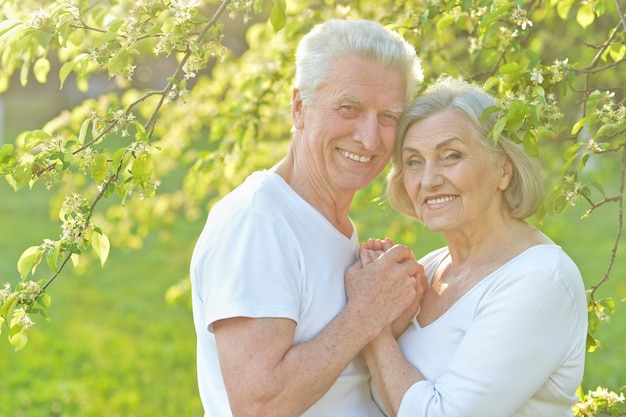 Loving mature couple in a summer park