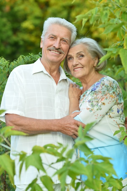 Loving mature couple  in a summer park