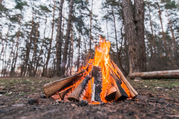 Photo low angle bonfire