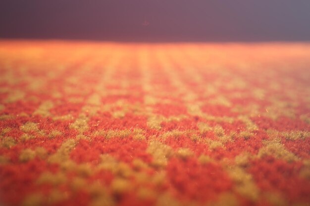 Low angle carpet surface bokeh background