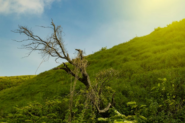 Low angle of a hill with clouds and blue sky Hill with blue sky and copy space