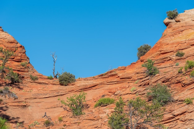 Low angle landscape of orange stone hillside in zion national park