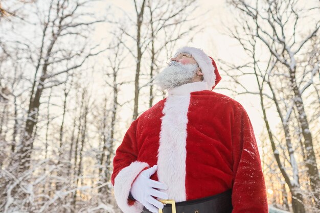 Low angle portrait of traditional santa claus wearing red coat in winter forest and looking up copy