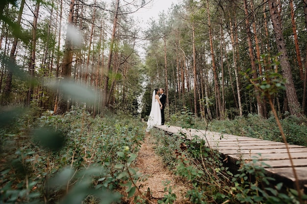 Low angle shot of a Caucasian white bride and groom posing together in a forest in Lithuania