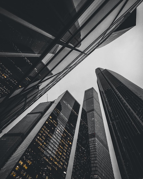 Low angle shot of modern glass city buildings and skyscrapers on the background of the white sky