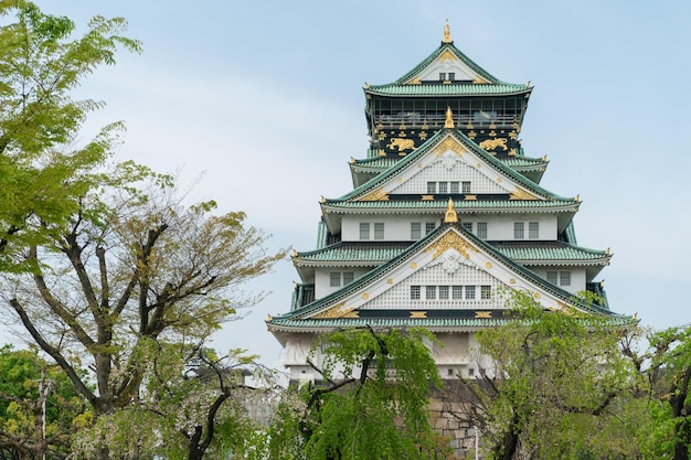 写真 澄んだ青い空を背景に、日本の春に木々に囲まれた美しい大阪城のローアングルショット