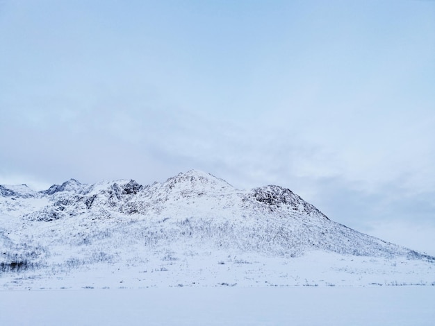 冬の間にノルウェー、クヴァロヤ島の雪に覆われた丘のローアングルショット