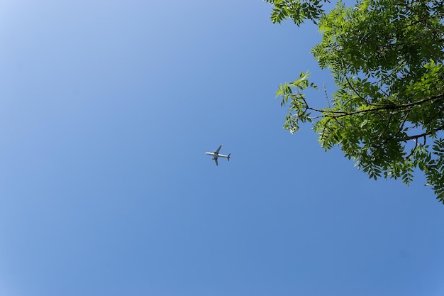 澄んだ青い空を背景にした飛行機の低角度の景色