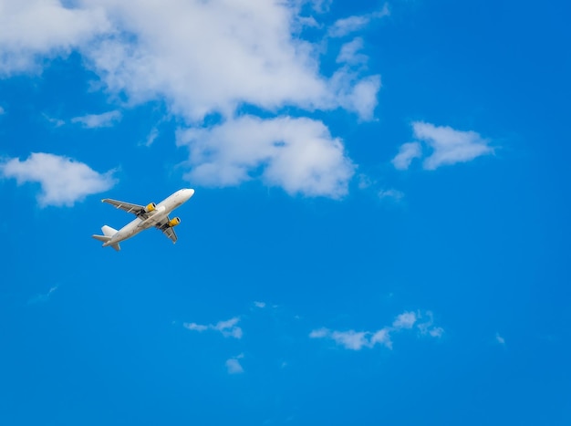 青い空を飛ぶ飛行機の低角度の景色